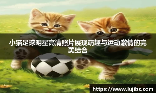 小猫足球明星高清照片展现萌趣与运动激情的完美结合